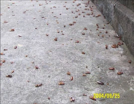 日安環衛科技有限公司