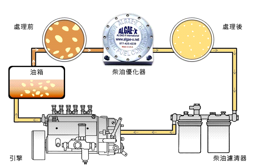 將柴油分子優化過程