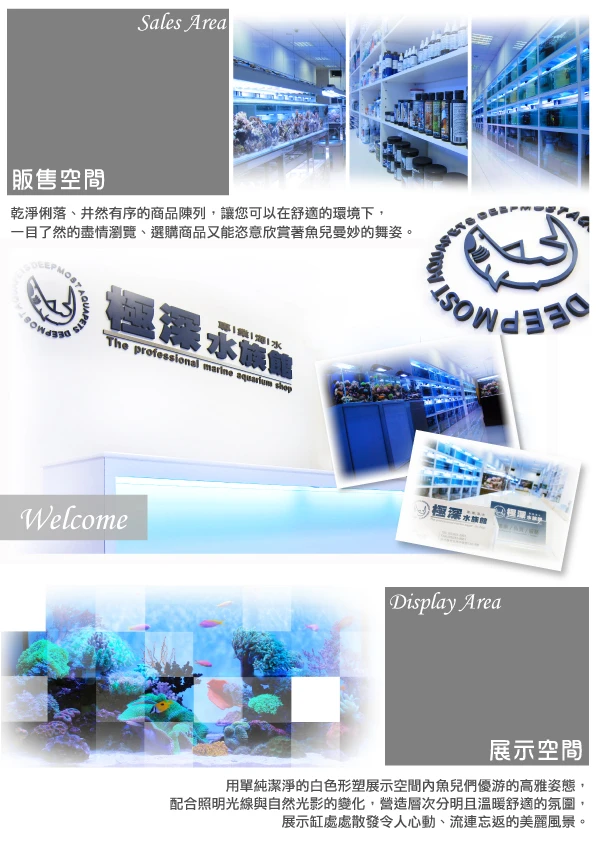 極深水族館門市照片2