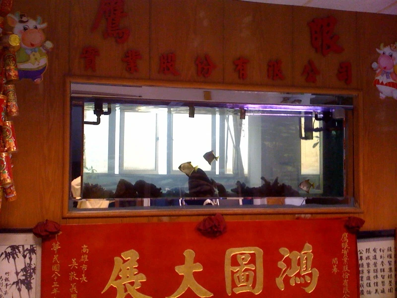 鷹眼實業股份有限公司