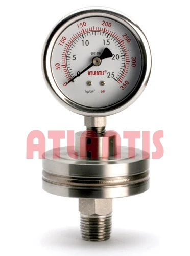 (隔膜式壓力錶-DS170系列(不可拆))